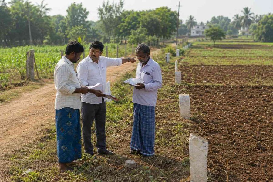 patta-document-review-boundary-stones-farmland